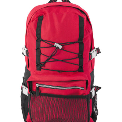 Sliver Line Backpack